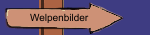 Welpenbilder